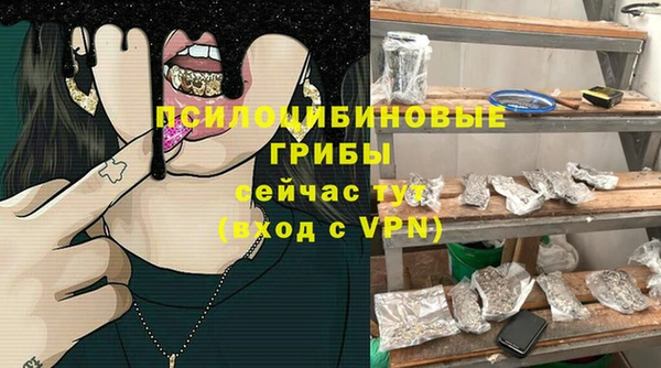spice Абаза