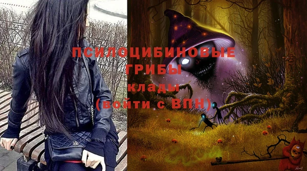 spice Абаза