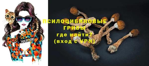 spice Абаза